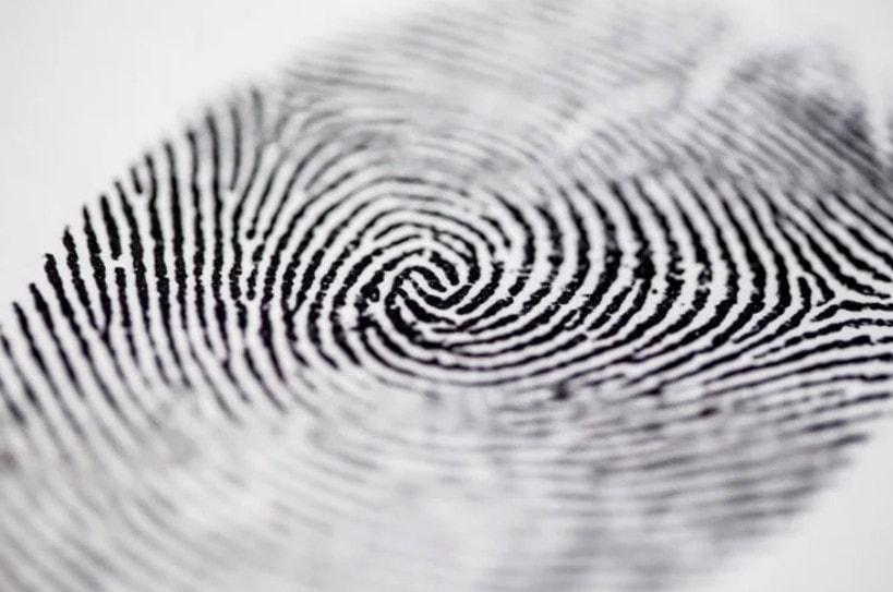 Customer Personalization in Pharma image 1